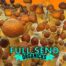 Pesh Hawaiian Magic Mushroom Spores