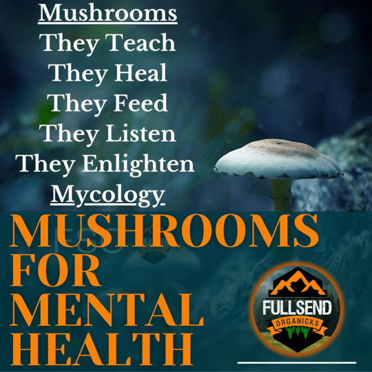 Mushrooms For Mental Health