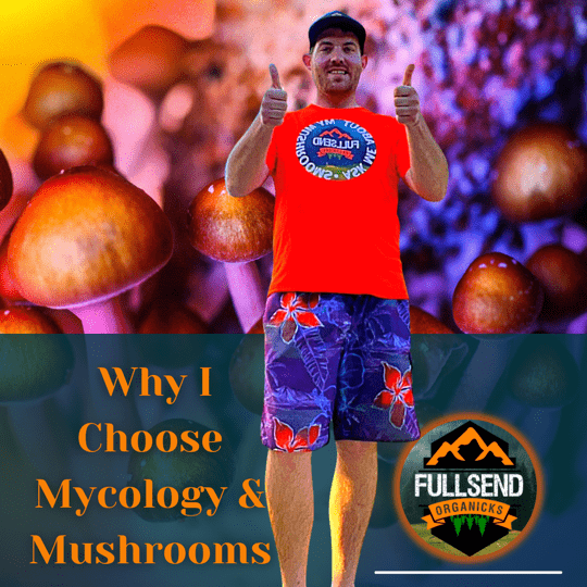 Why I Choose Mycology