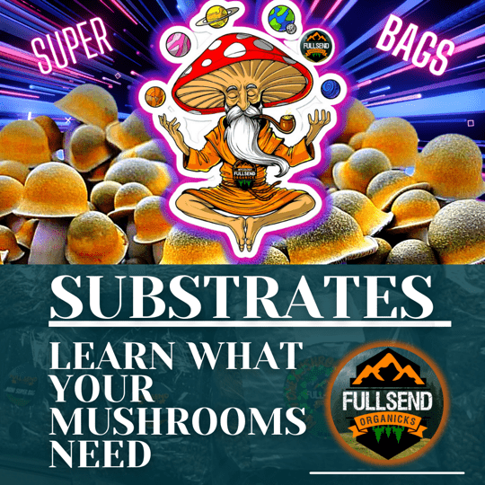 Substrates! Let's Talk Dirty