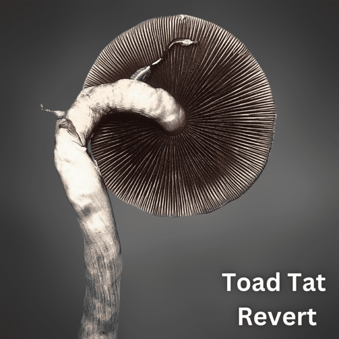 Toad Tat Revert liquid culture