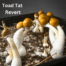 Toad Tat Revert liquid culture