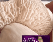 wtf lc White Tail Feathers (WTF)