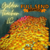 Golden Teacher Liquid Culture Syringe