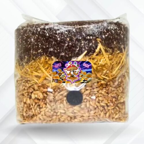all in one mushroom super grow bag 3.5