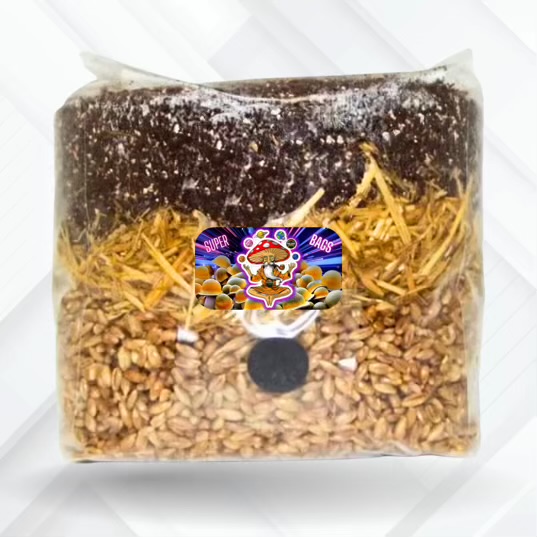 all in one mushroom super grow bag 3.5