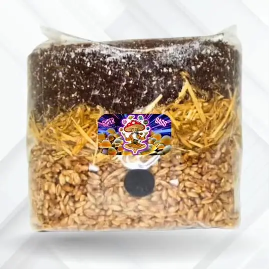 all in one mushroom super grow bag 3.5