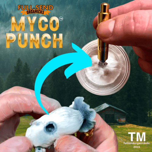 Myco Punch - Mycology Biopsy Tissue Tool!