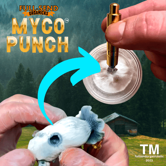 Myco Punch - Mycology Biopsy Tissue Tool!