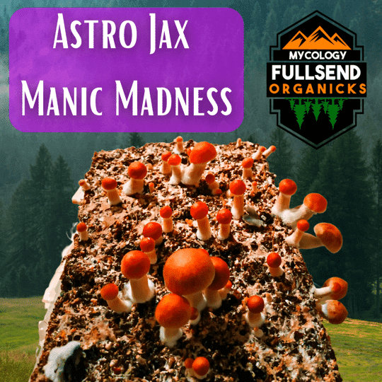 Astro Jax P. Cubensis Manic Madness