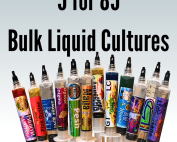 Liquid Culture Bulk Supply!