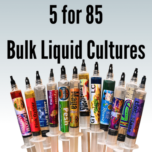 Liquid Culture Bulk Supply!