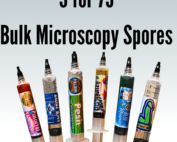 Mushroom Spore Syringe Bulk