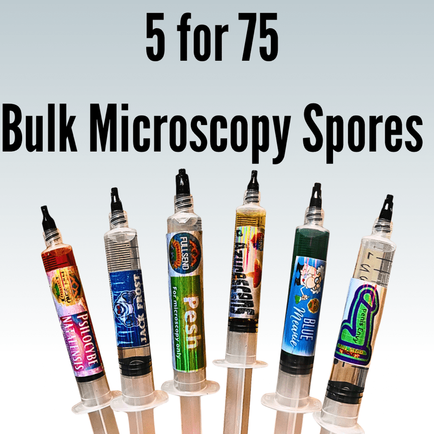 Mushroom Spore Syringe Bulk