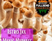 spores A jax