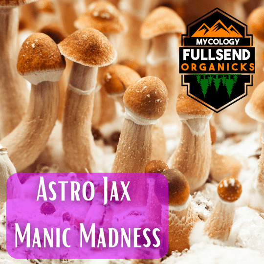 spores A jax