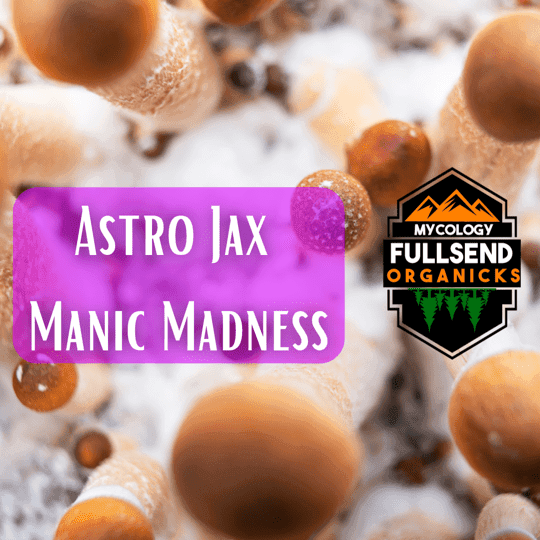 AJAX magic mushrooms