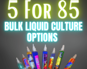 Liquid Culture Bulk Supply!
