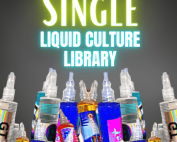 p-cubensis-study-culture-library