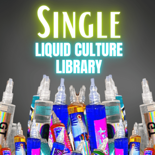 p-cubensis-study-culture-library