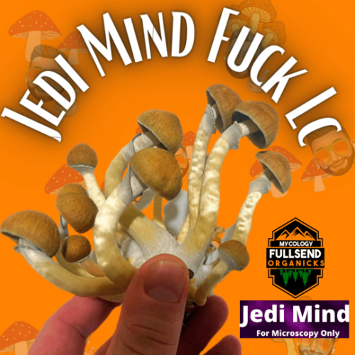 Jedi Mind Fuck Liquid Syringe