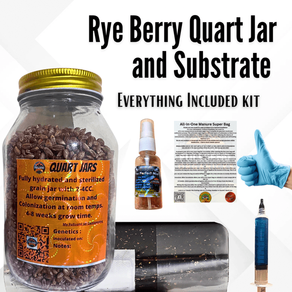 Rye Berry Quart jar Mushroom Grow Kit