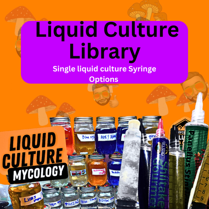 liquid culture