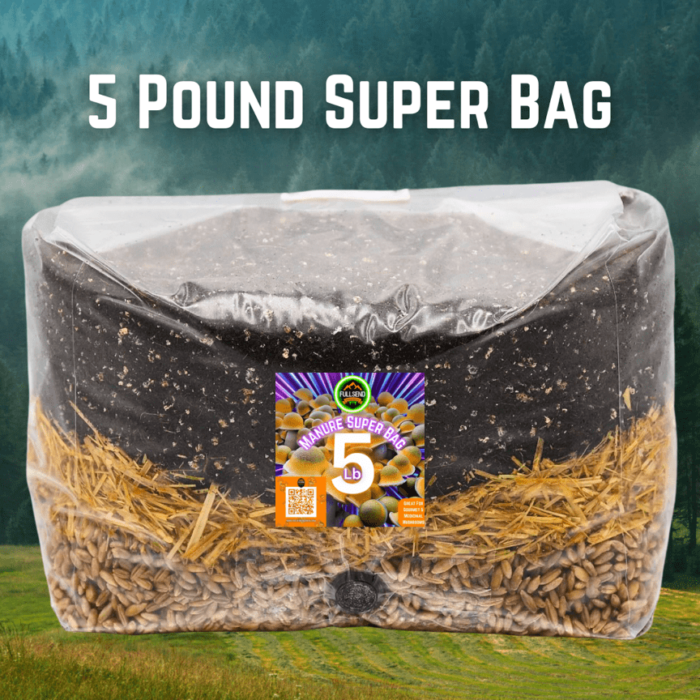 All-In-One Mushroom Super Grow bag