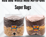 All-In-One Milo Super Bag | Mushroom supplies | grow bag