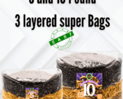 bulk mushroom cultivation, 5 lb mushroom grow bag, 10 lb mushroom grow kit, manure mushroom substrate, infused rye berries