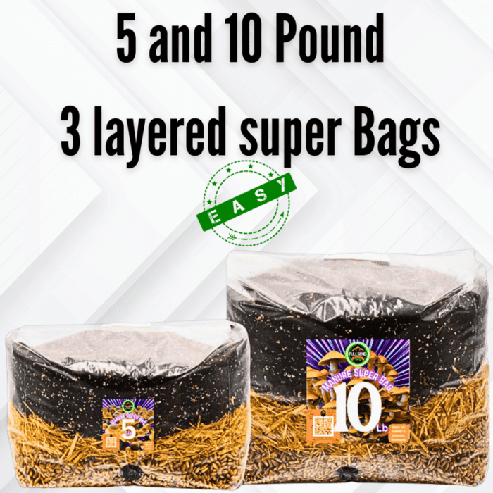 bulk mushroom cultivation, 5 lb mushroom grow bag, 10 lb mushroom grow kit, manure mushroom substrate, infused rye berries