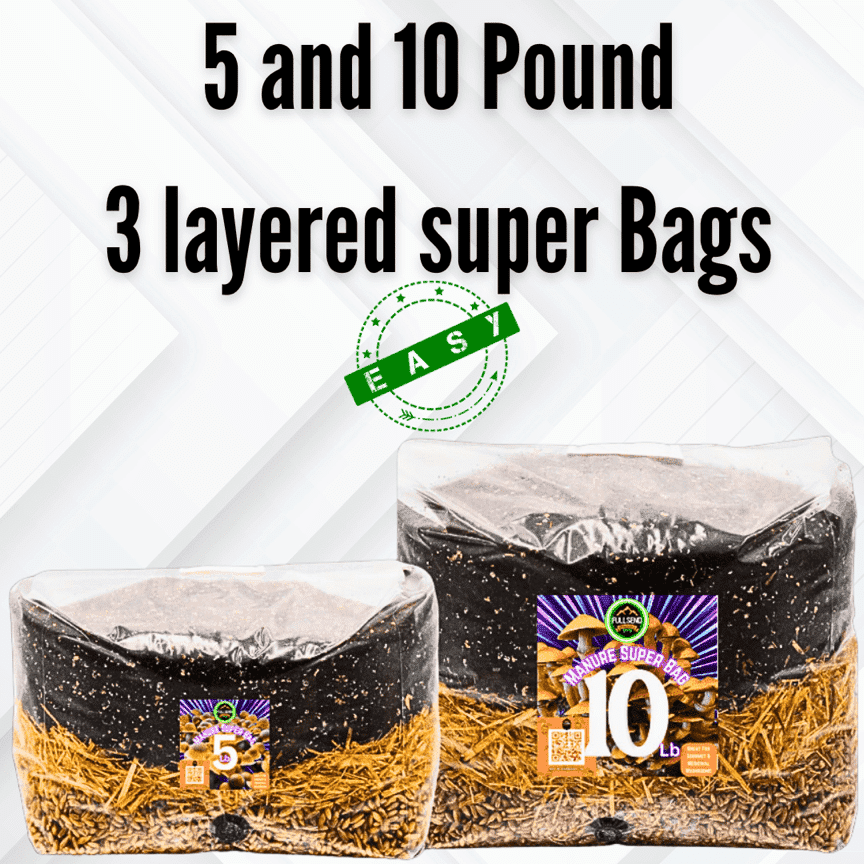 bulk mushroom cultivation, 5 lb mushroom grow bag, 10 lb mushroom grow kit, manure mushroom substrate, infused rye berries