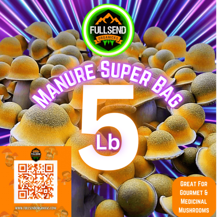 All-In-One Mushroom Super Grow bag