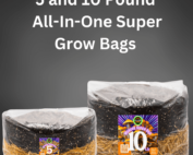 All-In-One Mushroom Super Grow bag | Spores | Super Bags | Mushroom Supplies | Liquid Culture