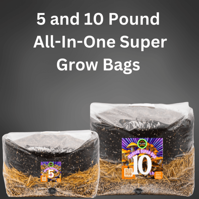 All-In-One Mushroom Super Grow bag | Spores | Super Bags | Mushroom Supplies | Liquid Culture