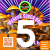 All-In-One Mushroom Super Grow bag