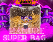 All-In-One Mushroom Manure Super Grow Bag
