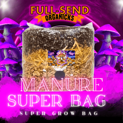 All-In-One Mushroom Manure Super Grow Bag