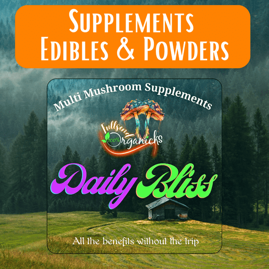 Mushroom supplies - Daily Bliss
