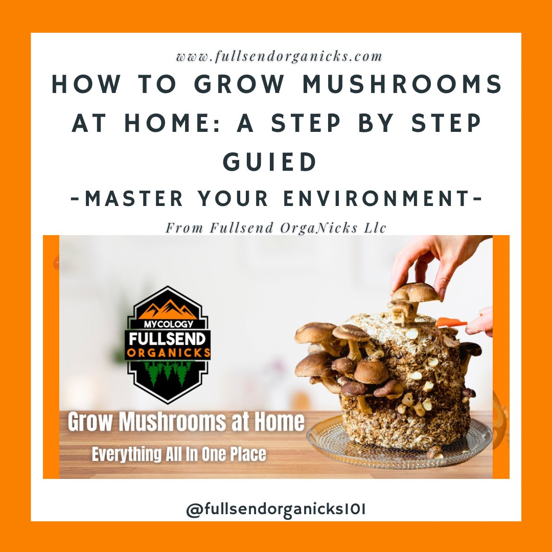 How to Grow Mushrooms at Home: A Step-by-Step Guide