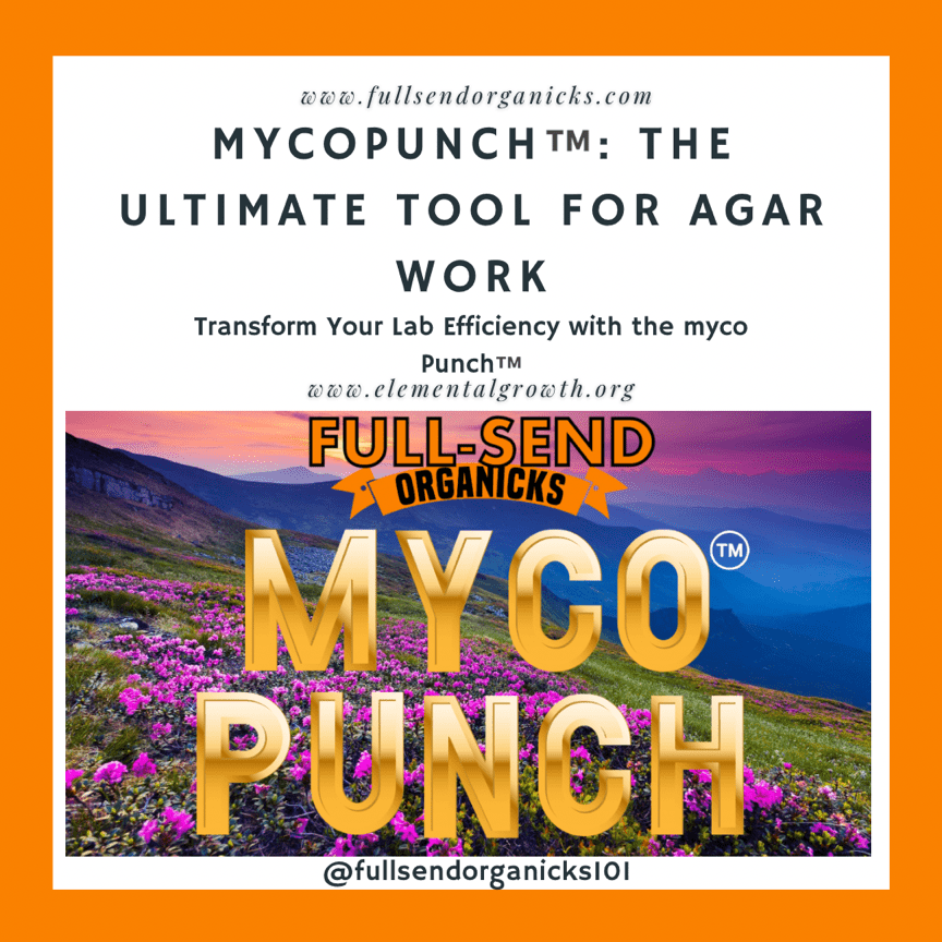 MycoPunch™️: The Ultimate Tool for Agar Work