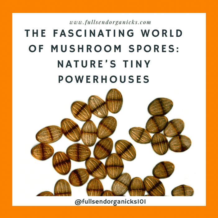 Mushroom Spores for Growing Mushrooms