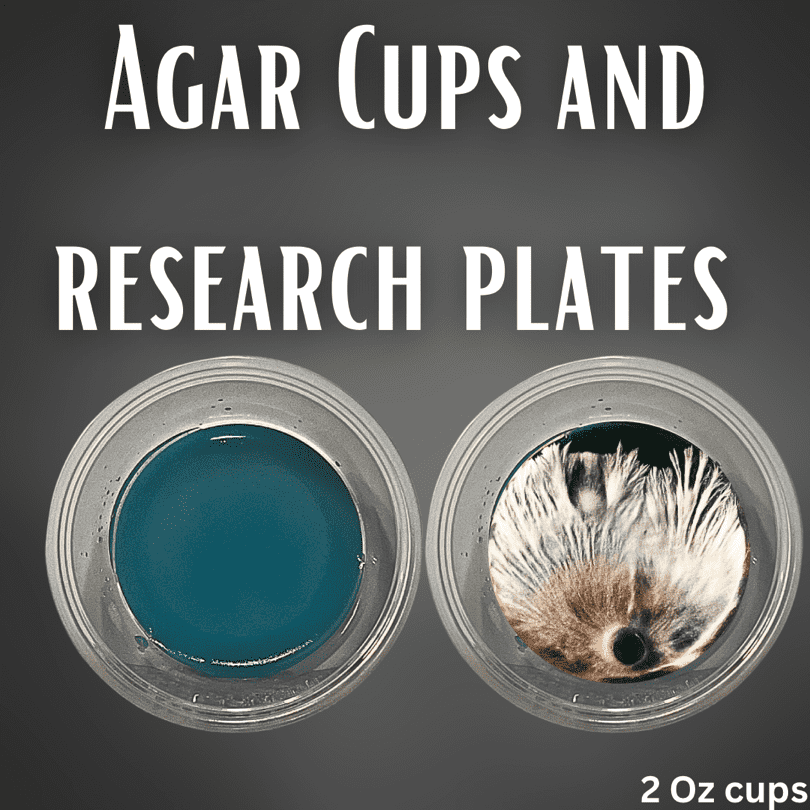 2 Ounce Agar Cups