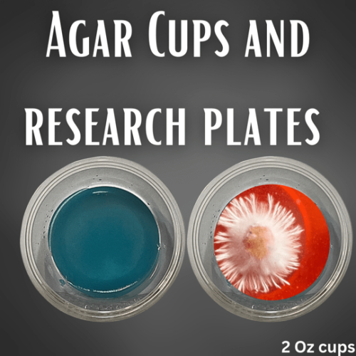 2 Ounce Agar Cups