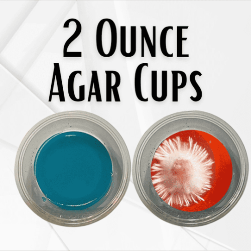 microscopy agar plates, mycology petri dishes, agar for spores, mycology supplies, mushroom cultivation lab tools