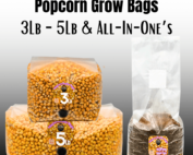 Popcorn Mushroom Inoculation Bags | Spores | Super Bags | Mushroom Supplies | Liquid Culture