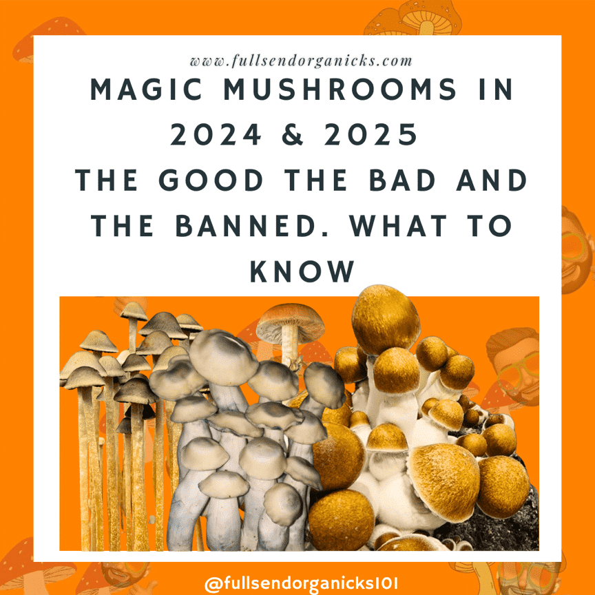 Magic Mushrooms: Psilocybin Emerges as America’s Magic Cure