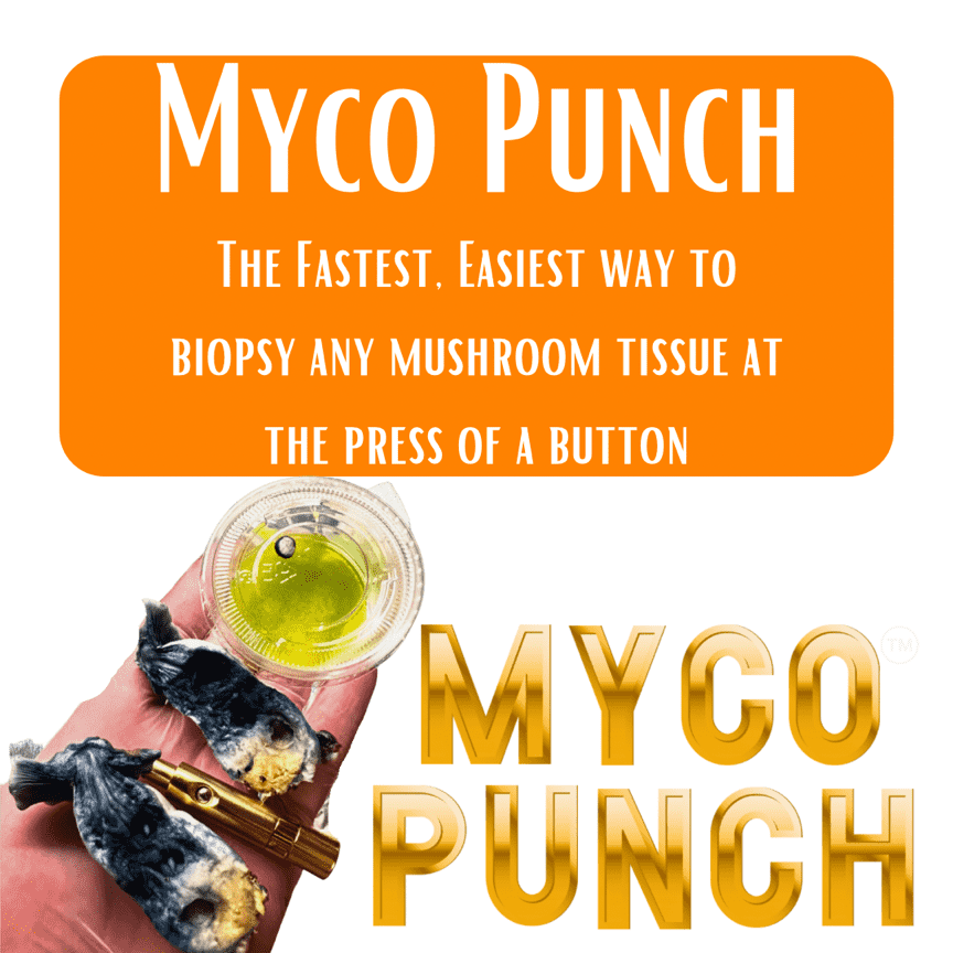 Myco Punch