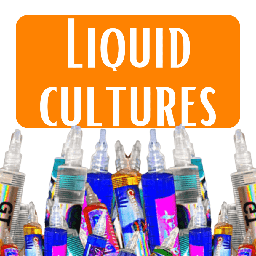 Spores | Super Bags | Mushroom Supplies | Liquid Culture