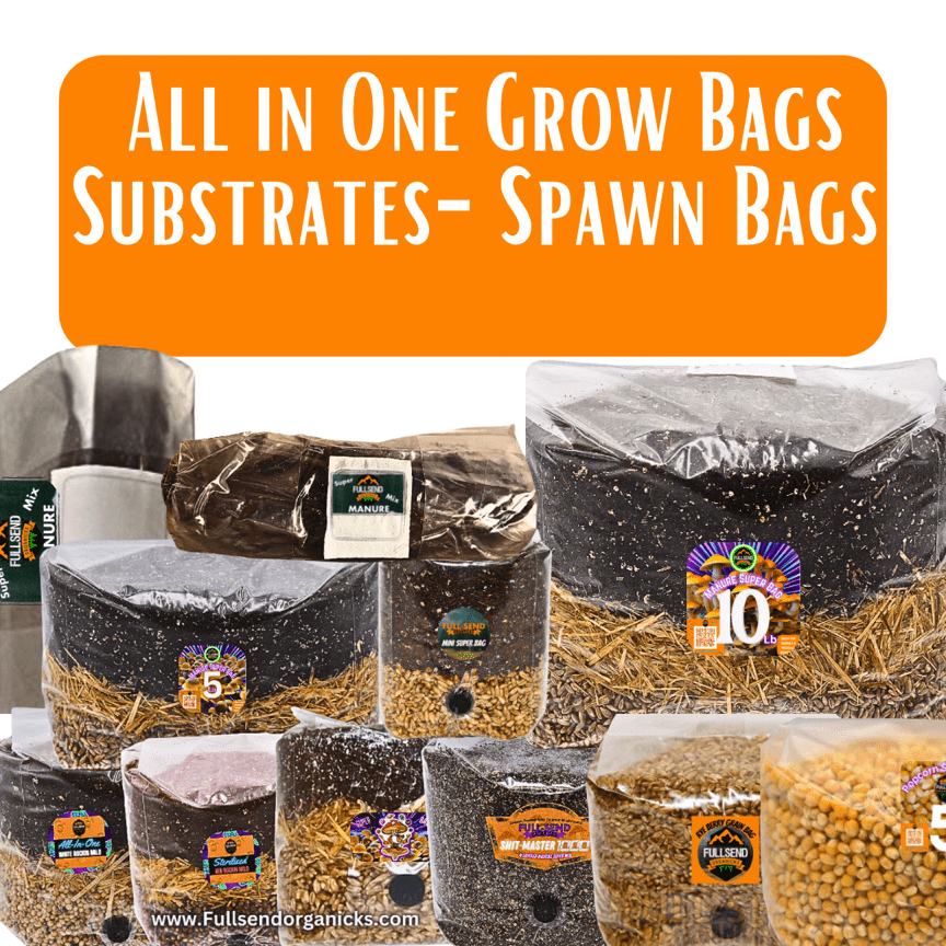 Spores | Super Bags | Mushroom Supplies | Liquid Culture